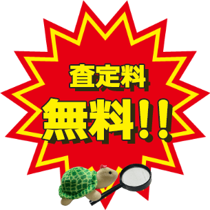 査定料無料!!