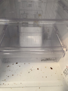 MITUBISHI(三菱) 2ドア冷蔵庫 MR-P15W-S