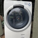 SHARP（シャープ） 7.0kgドラム式洗濯乾燥機 ES-S7A 2016年製