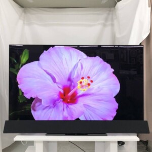 Panasonic（パナソニック） 55型ハイビジョン有機ELテレビ TH-55FZ1000