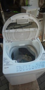 TOSHIBA(東芝)6.0㎏ 全自動洗濯機 AW-6G6 2019年製