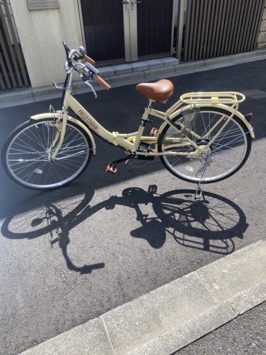 ネクストゲーション 電動アシスト自転車 NX-DCY100