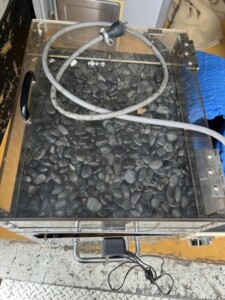 (業務用)電気遠赤外線焼きいも機 THR-2700