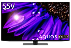 SHARP AQUOS シャープ 4K有機ELテレビ アクオス OLED 4T-C55EQ1 55インチ