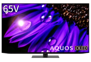 SHARP AQUOS シャープ 4K有機ELテレビ アクオス OLED 4T-C65EQ1 65インチ