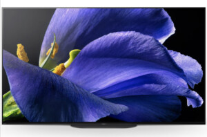 SONY ソニー 4K有機ELテレビ ブラビア KJ-65A9G 65インチ