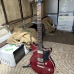 YAMAHA（ヤマハ）エレキギター RS420FR REVSTAR 2020年新品購入