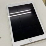 Apple（アップル）iPad 第6世代 Wi-Fi＋Cellular A1954 128GB シルバー