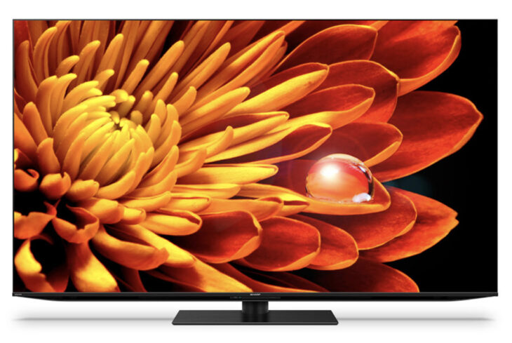 SHARP シャープ 4K液晶テレビ アクオス XLED 4T-C65EP1 65インチ