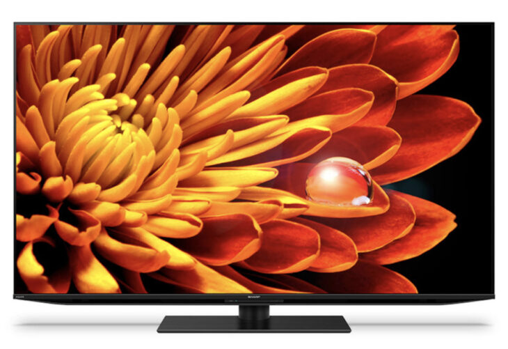 SHARP シャープ 4K液晶テレビ アクオス XLED 4T-C55EP1 55インチ