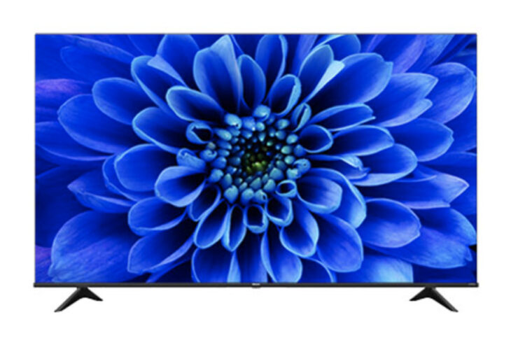 Hisense ハイセンス 4K液晶テレビ 65E6G 65インチ