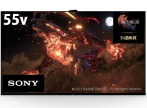 SONY ソニー 4K有機ELテレビ ブラビア XRJ-55A95K 55インチ