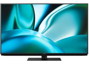 SHARP シャープ 4K液晶テレビ アクオス 4K 4T-C55FN2 55インチ