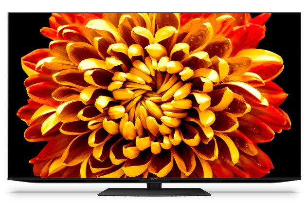 SHARP シャープ 4K液晶テレビ アクオス XLED 4T-C65DP1 65インチ