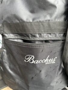 Bacchus(バッカス)ギター