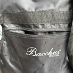 Bacchus（バッカス）ギター