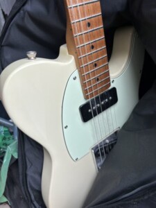 Bacchus(バッカス)ギター