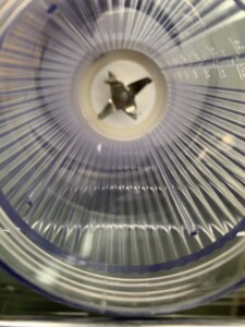 PIPIMOO ポータブルブレンダー ジューサーカップ A8