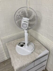 NEOVE(ネオーブ)リビング扇風機 BFS30-D21