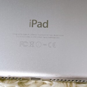 Apple(アップル)iPad Air 2 A1566 16GB Wifiモデル スペースグレー