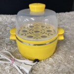 ANABAS 電気蒸し器 SE-001 2023年製