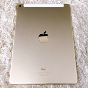 Apple(アップル)iPad Air 第2世代 Wi-Fi+Cellular A1567 16GB