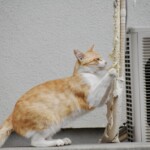 エアコン火災