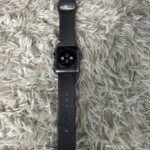Apple Watch Series 3 背面