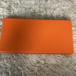 エルメジスティブル 背面