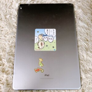 iPad Pro 第2世代 背面