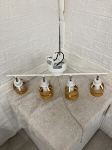 Zoarlan スポットライト TC-ZDD-W4P 4灯