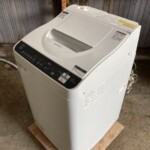 ES-TX5FJ-W　斜め