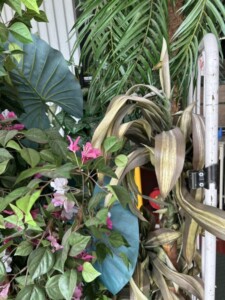 フェイクグリーン アップ2