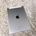 iPad 背面