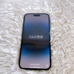AppleのiPhone 14 Pro Max　正面
