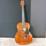 FG-10 MH 正面