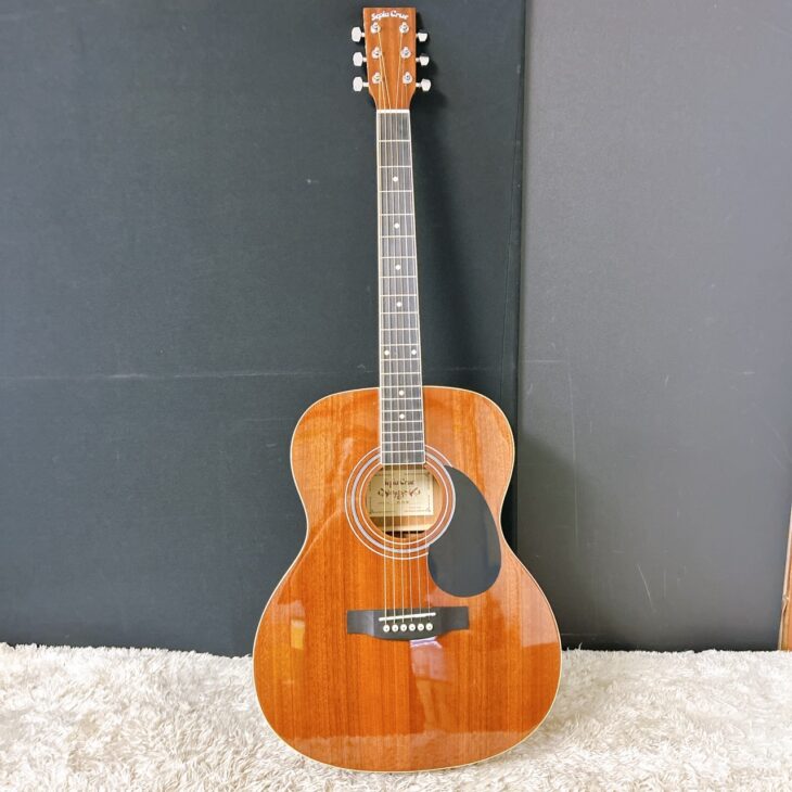 FG-10 MH 正面