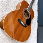 FG-10 MH アップ