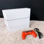 ps4 同梱品