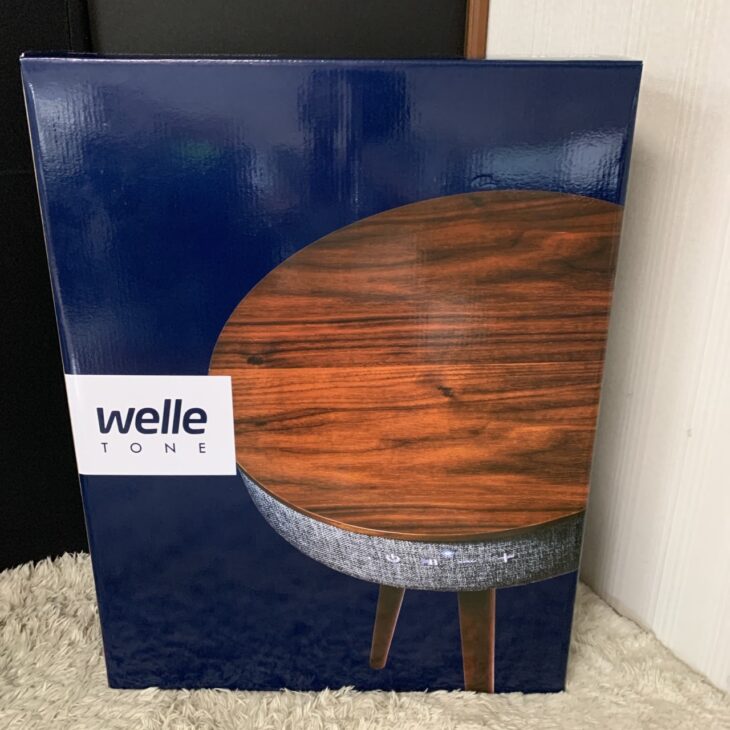 W301T 正面
