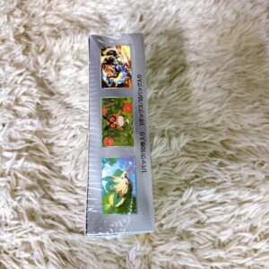 ポケモンカードゲーム 側面