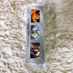 ポケモンカードゲーム 側面2