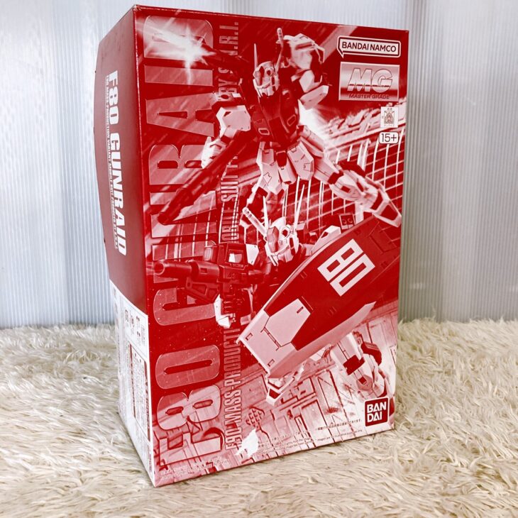 MG 1/100 F80 ガンレイド 正面