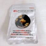 ターミナリアファースト