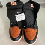 Nike Air Jordan 1 Retro High OG (DZ5485-008)