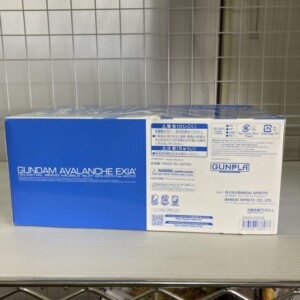 RG 1/144 GUNDAM AVALANCHE EXIA(ガンダム アヴァランチエクシア) 側面