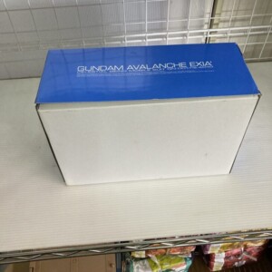 RG 1/144 GUNDAM AVALANCHE EXIA(ガンダム アヴァランチエクシア) 側面2