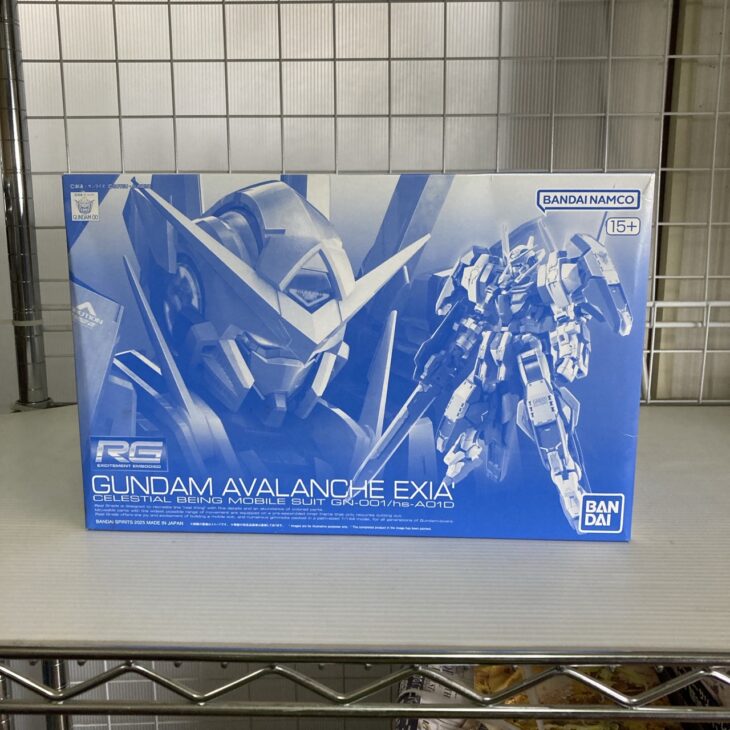 RG 1/144 ガンダムアヴァランチエクシア 正面