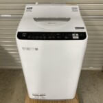 ES-TX5FJ-W