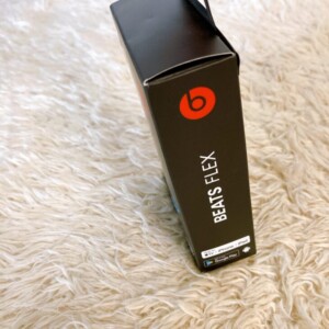 ワイヤレスイヤホン(フレイムブルー) 側面